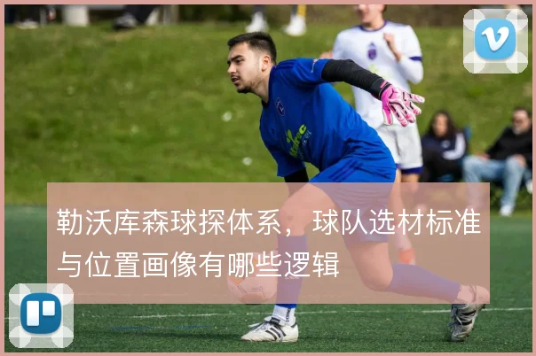 勒沃库森球探体系,球队选材标准与位置画像有哪些逻辑